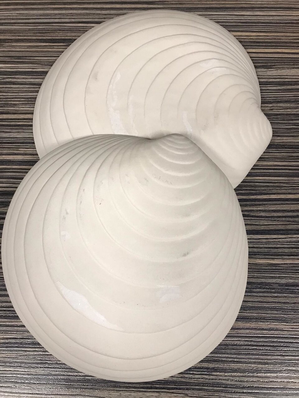 Schelp bord Sand 23 cm Raw by RBC