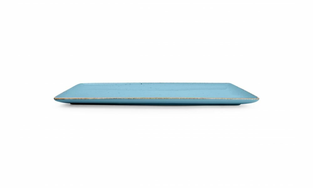 Plat bord 29cm x 13cm Collect Blauw