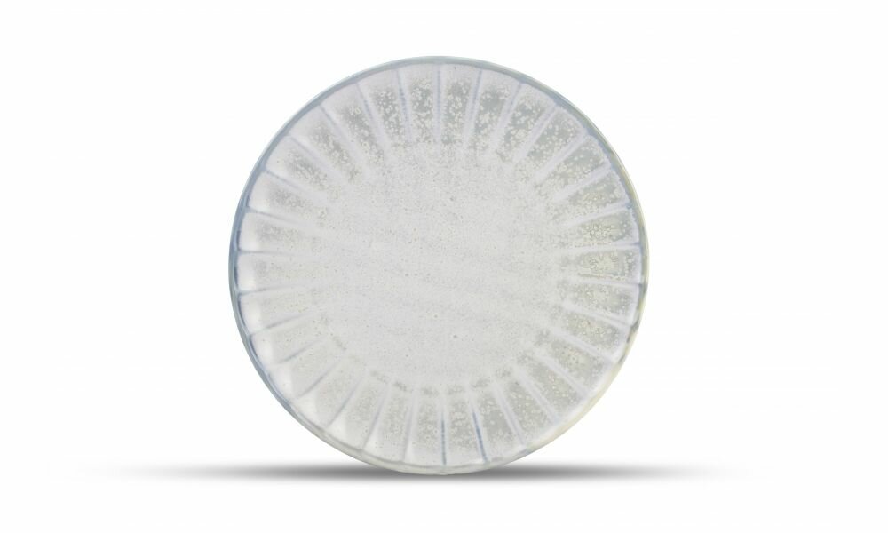 Dinerbord Sea Green Atlas 26cm