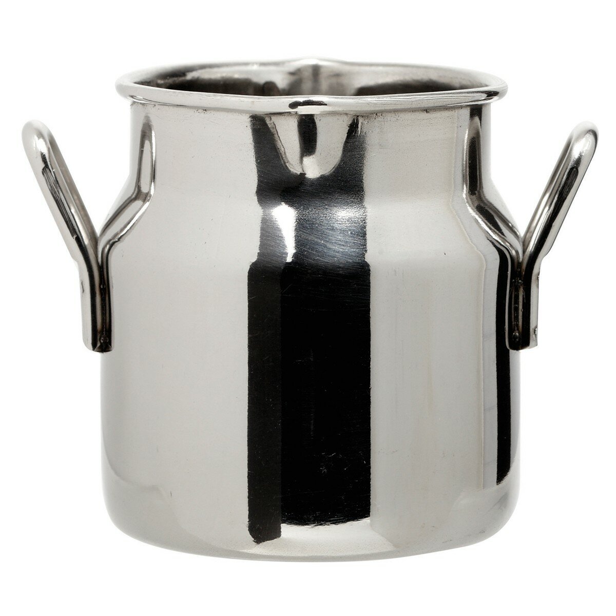 Mini melkbus 70 ml RVS