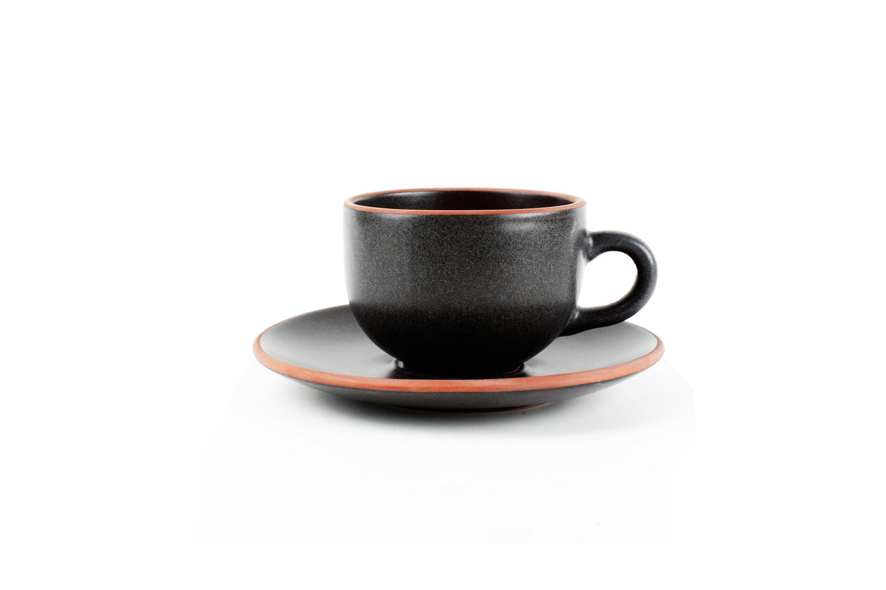 Kop en schotel Terra Nova