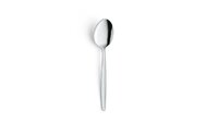 Dessertlepel Low Budget 18.9cm 18/0 zilver