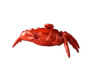 Krab bord Rood met deksel 26 cm Raw by RBC
