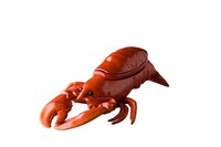 Kreeft rood 34,5 cm Raw by RBC