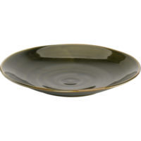 Bord 25,5 cm Groen Midori