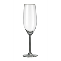 Champagneflute 21 cl Esprit du Vin Royal Leerdam