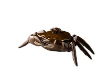 Krab bord met deksel 26 cm Raw by RBC