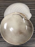 Schelp bord Sand 28,3 cm Raw by RBC