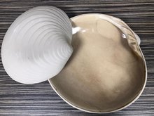 Schelp bord Sand 23 cm Raw by RBC