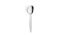 Dessertlepel Low Budget 18.9cm 18/0 zilver