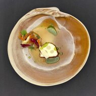 Schelp bord Sand 28,3 cm Raw by RBC