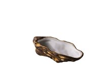Oester schelp bord 13,2 cm Raw by RBC
