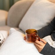 Kop 27 cl amber dubbelwandig Liv