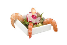 Kara vierkant schaaltje 4 stuks