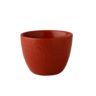 Kop 20 cl zonder oor rood Rodondo Palmer