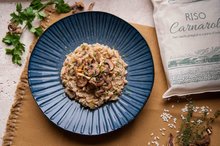 Coupe bord 26,5 cm Rustico Aegean