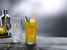 Longdrink glas 45 cl Timeless