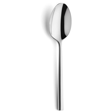 Dessertlepel Colorado zilver