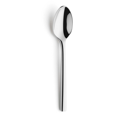 Theelepel Colorado zilver