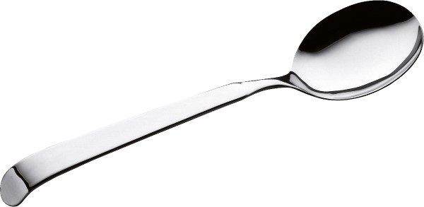 Slalepel 28 x 7 cm Pintinox Astra