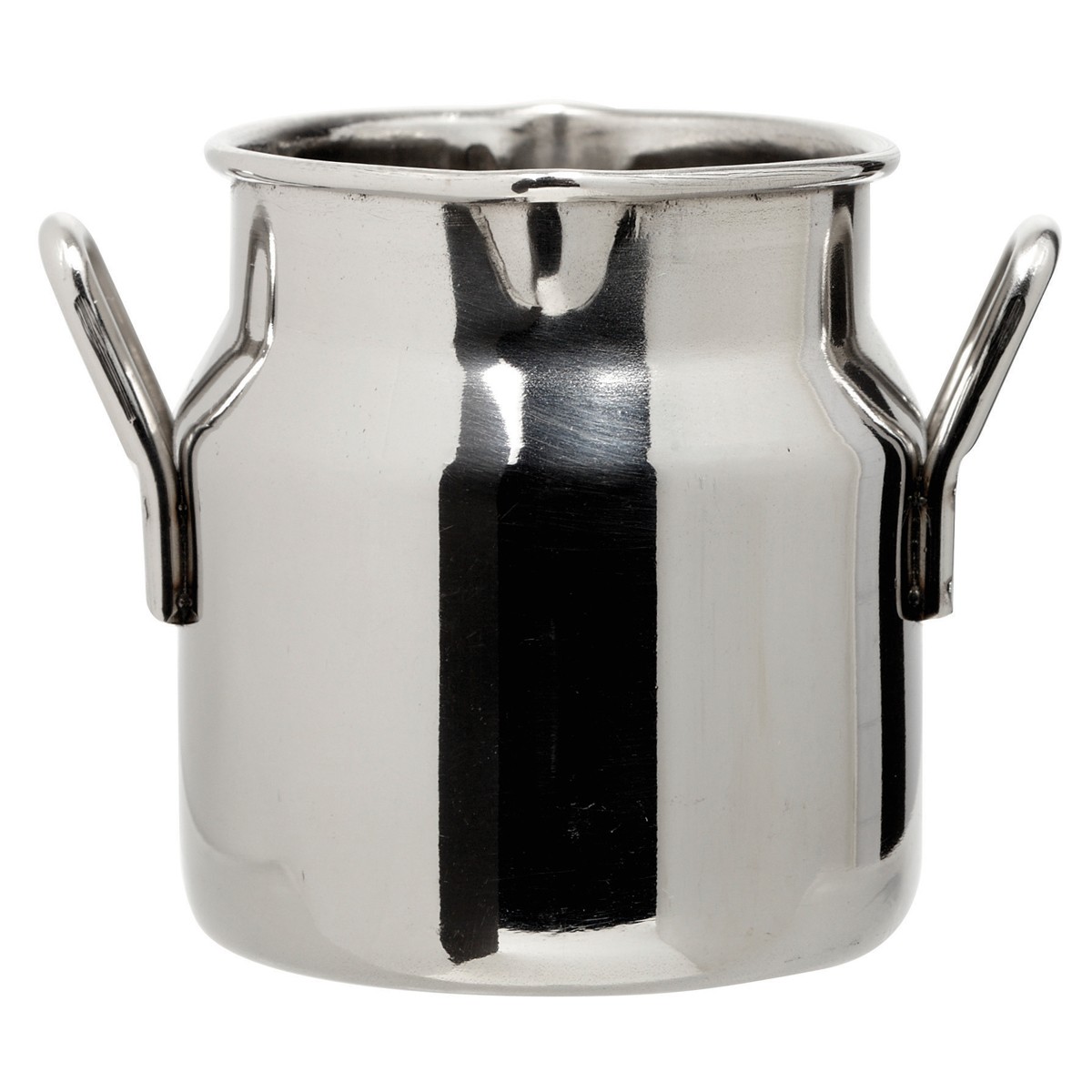 Mini melkbus 70 ml RVS