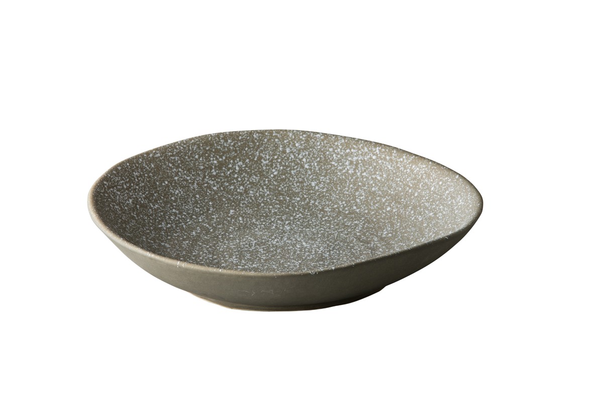 Chameleon bord 24 cm