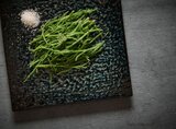 Serveerschaal 21 x 21 cm Seaweed Umi