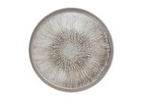 Bord Misa 17 cm