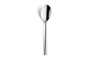 Dessertlepel Palmon 17,7cm 18/10 zilver