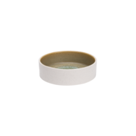 Schaal 16 cm groen Coco