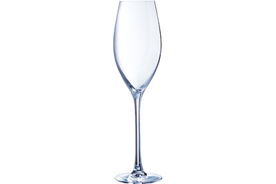 Grand Cepage champagneglas 24cl